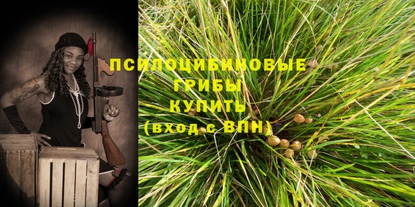 дмт Алзамай