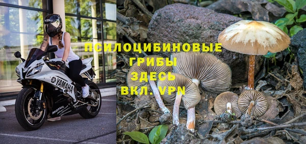 дмт Алзамай