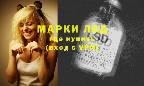 спиды Алексеевка