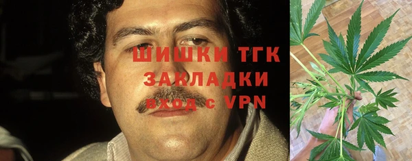 spice Алексин